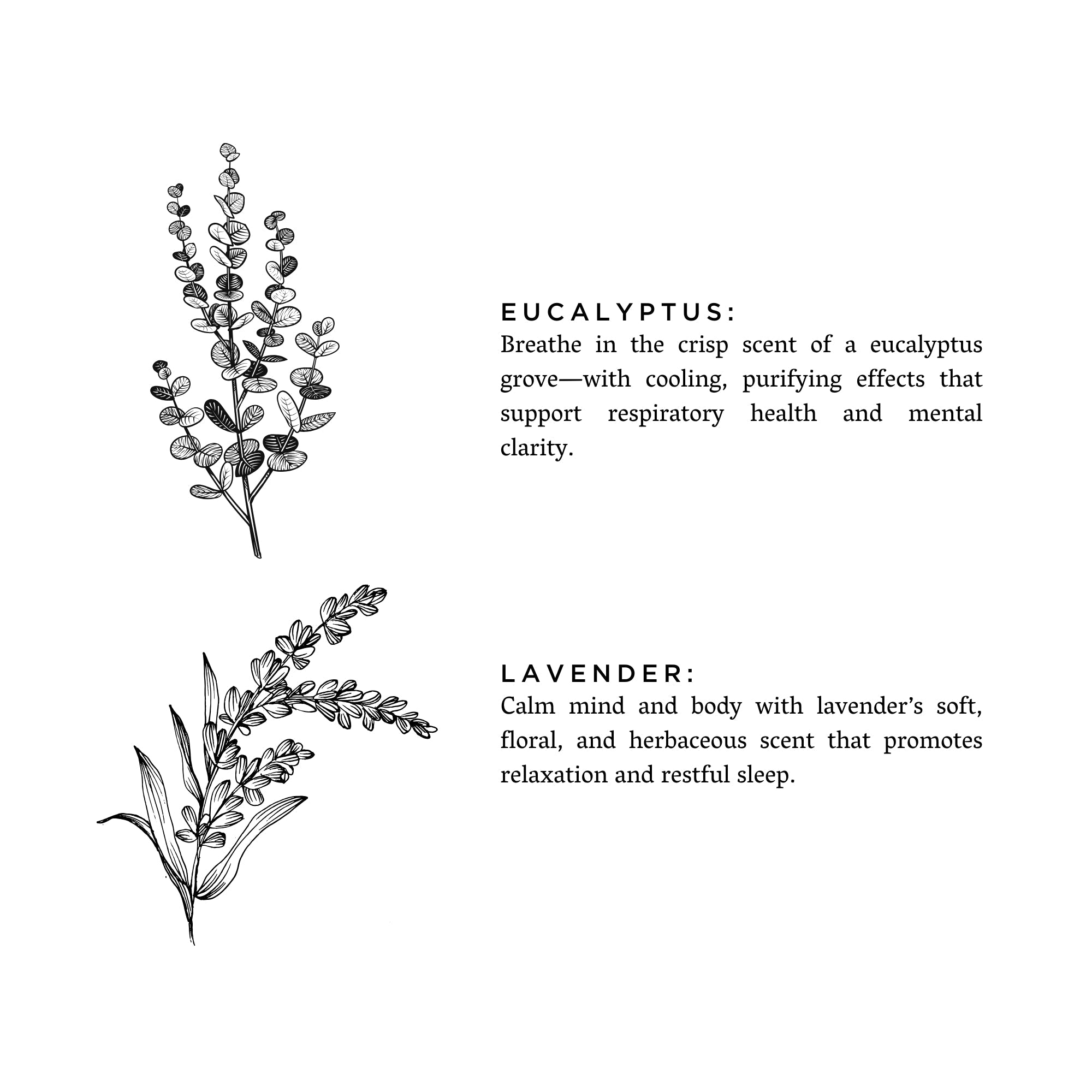 Frosted candle by Slow North featuring eucalyptus and lavender scents, with a frosted glass container and botanical design.