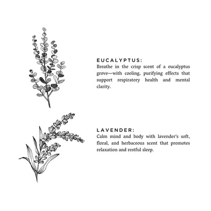Frosted candle by Slow North featuring eucalyptus and lavender scents, with a frosted glass container and botanical design.