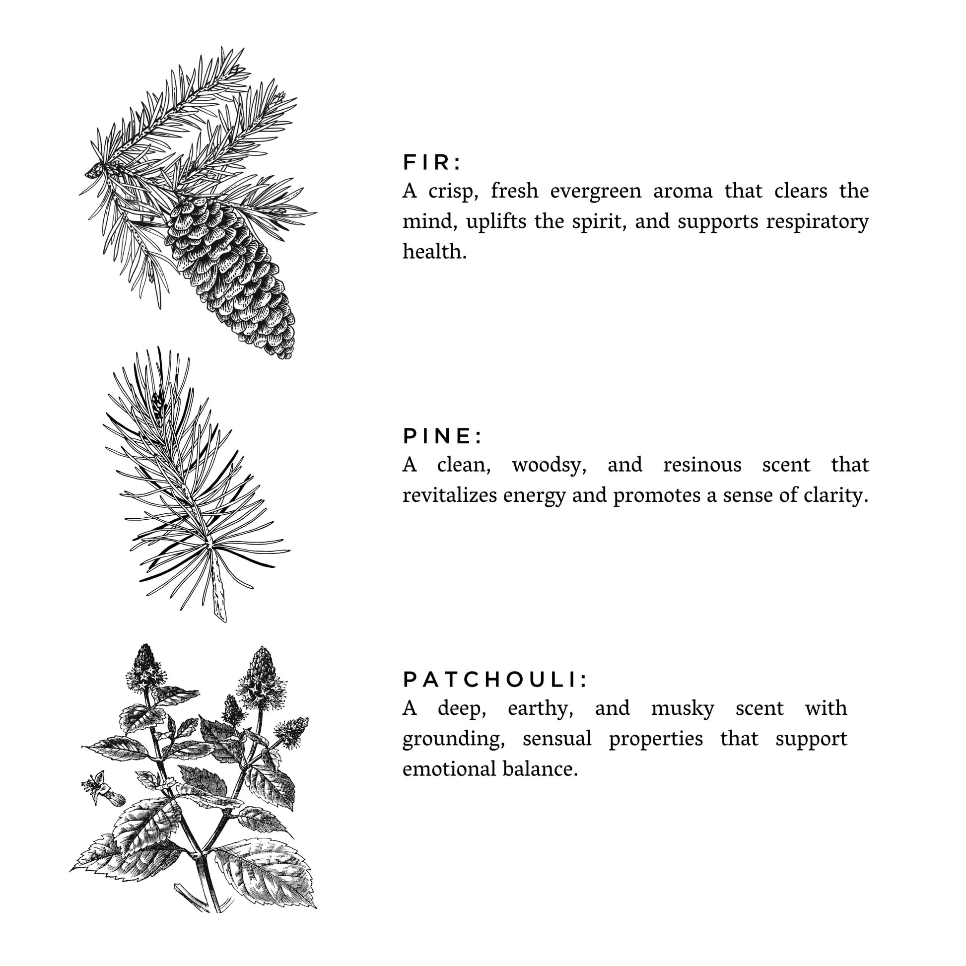 Frosted Forest Bathing Candle by Slow North with fir, pine, and patchouli scent, featuring a frosted glass container.