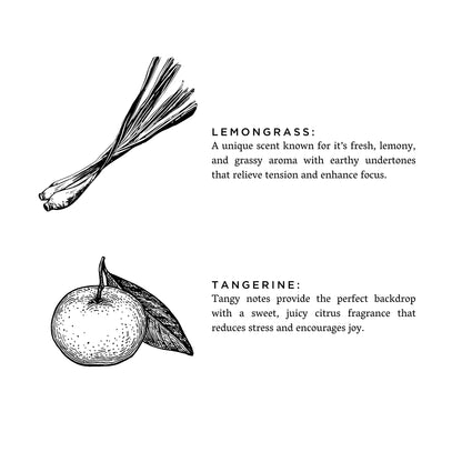Lemongrass + Tangerine - Signature Candle Slow North