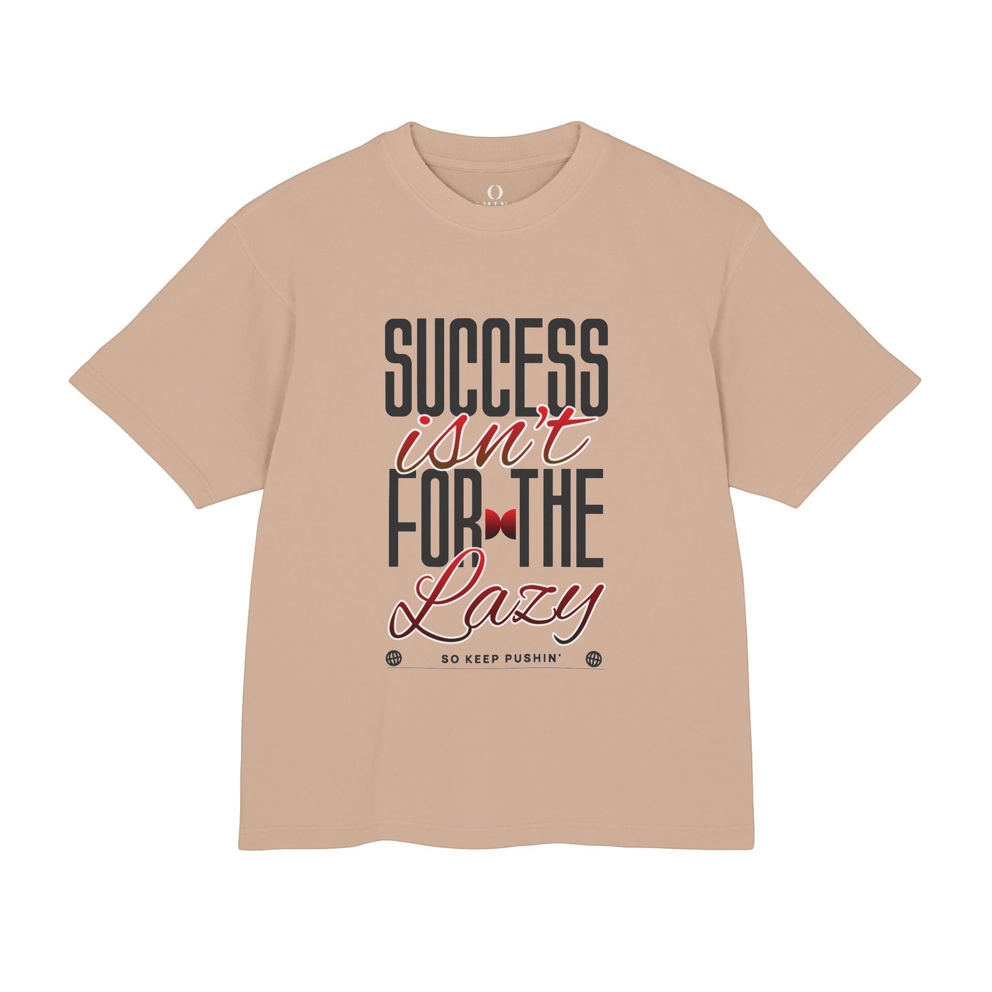 Omina heavyweight boxy cotton t-shirt in beige with Success Isn't For The Lazy motivational graphic print