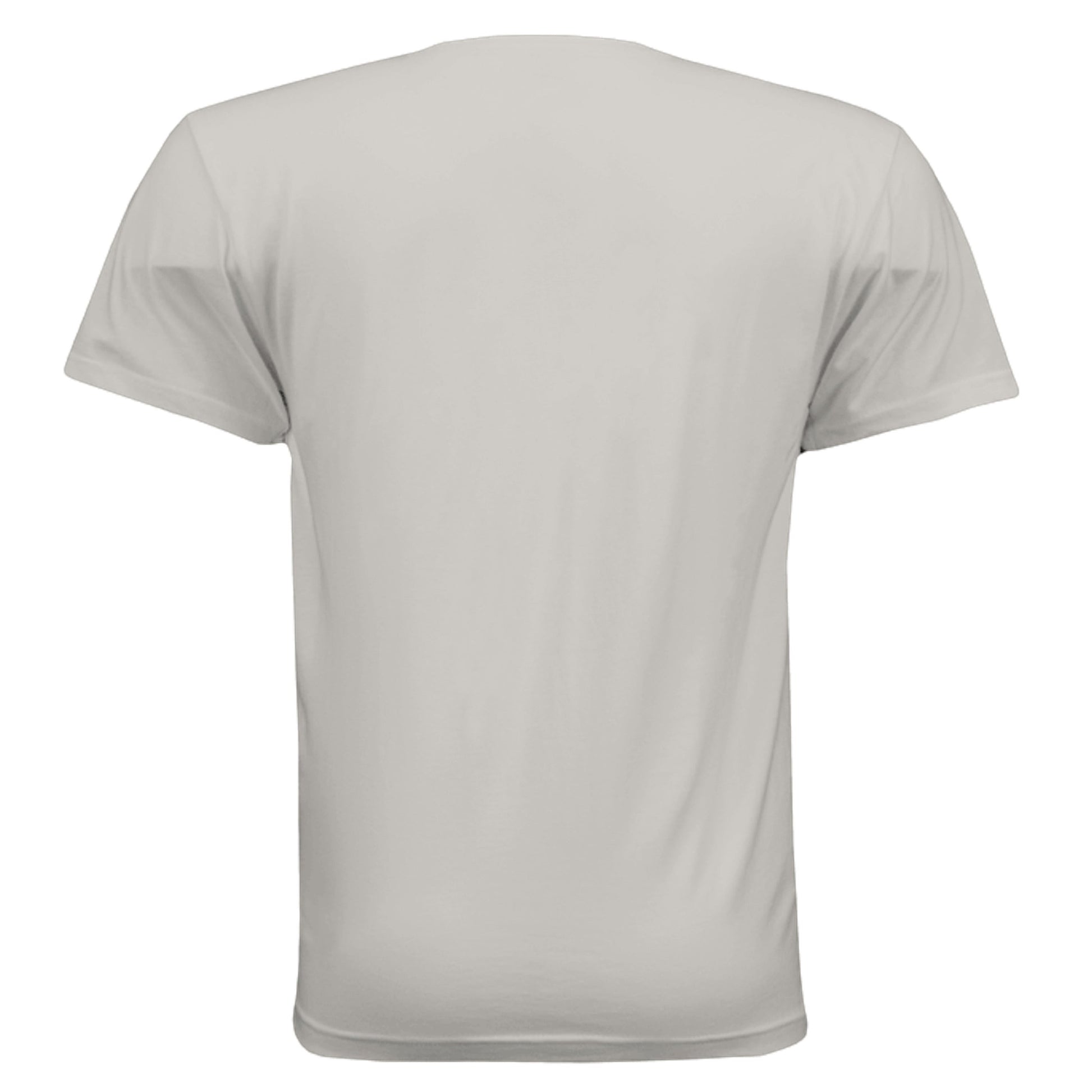 Back view of Omina heavyweight cotton t-shirt in a neutral light grey color with a relaxed fit and dropped shoulders.
