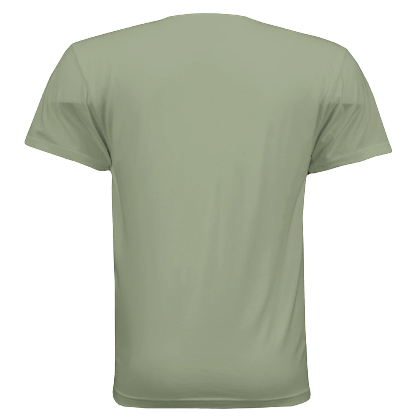 Back view of Omina heavyweight sage green cotton t-shirt with a relaxed fit and dropped shoulders.